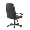 cav300t1-back