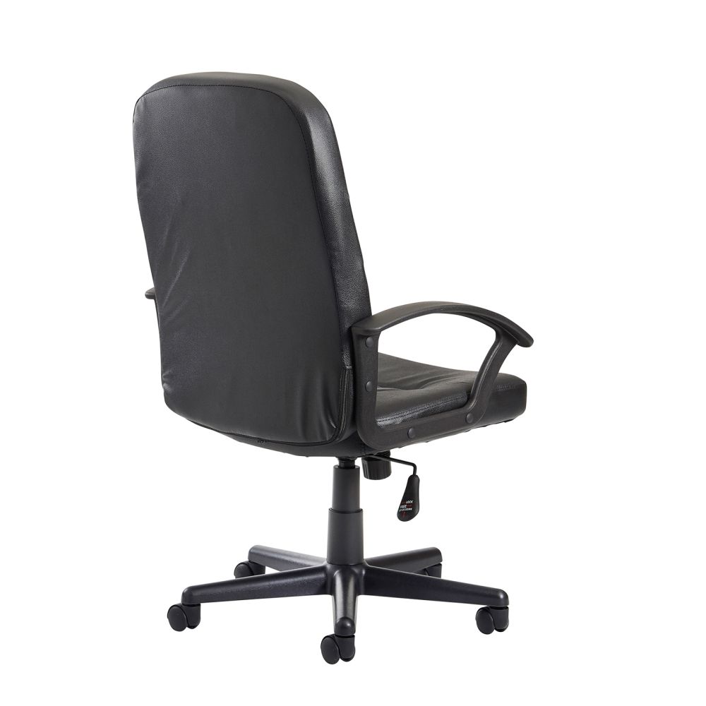 cav300t1-back