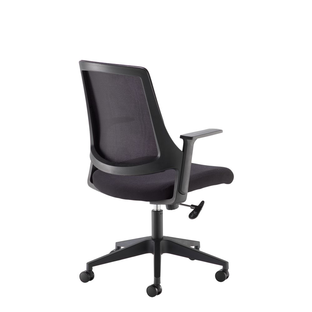 dfy300t1-k-back