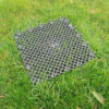 grass_protection_2022