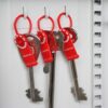 Security Loops & Optional Seals