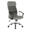 cho300t1-g