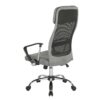 cho300t1-g-back