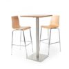hs2010b_poseur_table