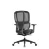 shl300k2-k-back