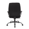 por300t1-k-back