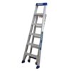 75070_PI_LeaningLadder
