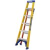 75071_PI_LeaningLadder