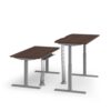 ev-sn-desks