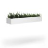 wpld-wh-plants