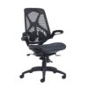 nap300t1
