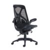 nap300t1-back