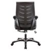 BCM-L500-BK-CELESTE-BACK