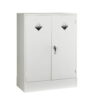 acid-cabinets-6 acid-cabinets