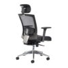 gemini-mesh-task-chair-with-adjustable-arms-headrest-in-black-1