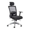 gemini-mesh-task-chair-with-adjustable-arms-headrest-in-black