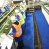 Heavy Duty Anti Slip Matting - Cobamat Heavy 2 Heavy Duty Anti Slip Matting - Cobamat Heavy