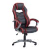 jen300t1