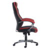 jen300t1_side
